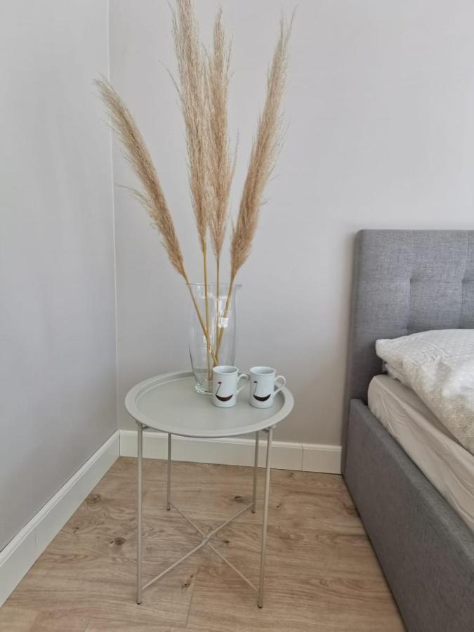 Tolstoi Scandinavian 1 Bedroom Apartment + Free Parking Tartu Exteriér fotografie
